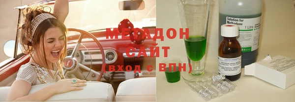 прущие грибы Каменногорск