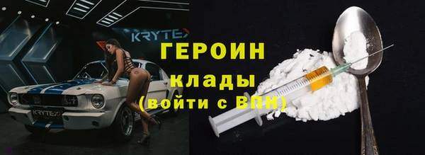 прущие грибы Каменногорск