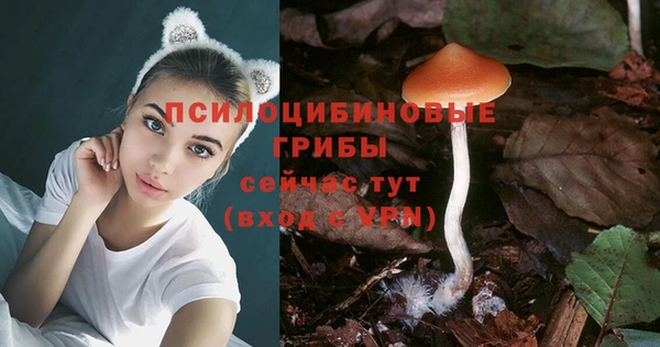 дурь Абинск