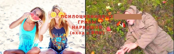 гидра Абдулино
